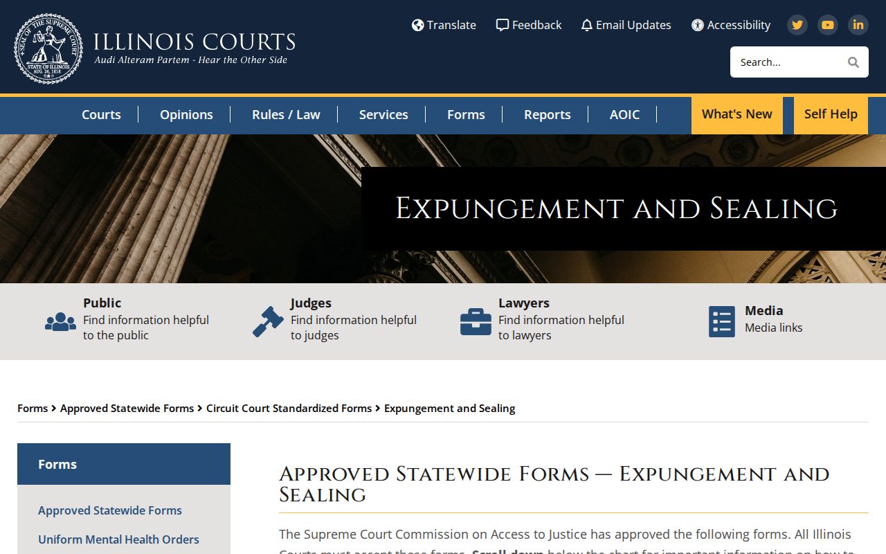 Piatt County court case expungement and sealing forms